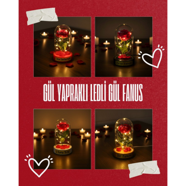 Gül Yapraklı Ledli Gül Fanus