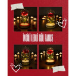 İncili Ledli Gül Fanus