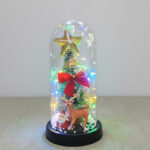 Yılbaşı Temalı Işıklı Dekoratif Cam Fanus - Model 5